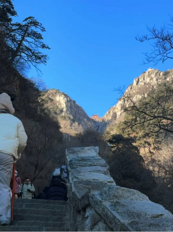 包含里程碑夜山东泰山防线松动；亚冠冲刺阶段刷纪录；震撼外界；阵容厚度经受考验的词条