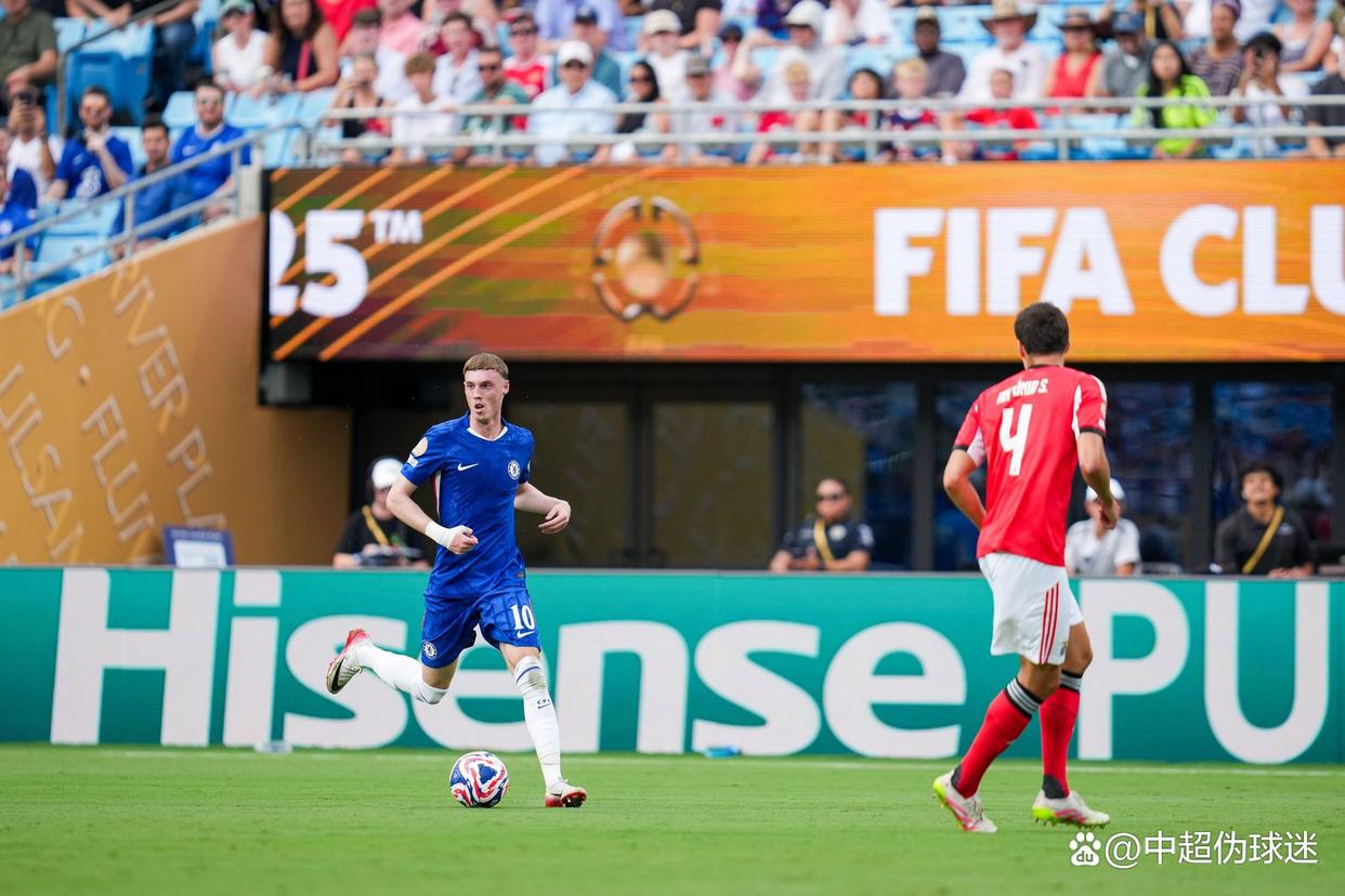 本菲卡最新消息最新